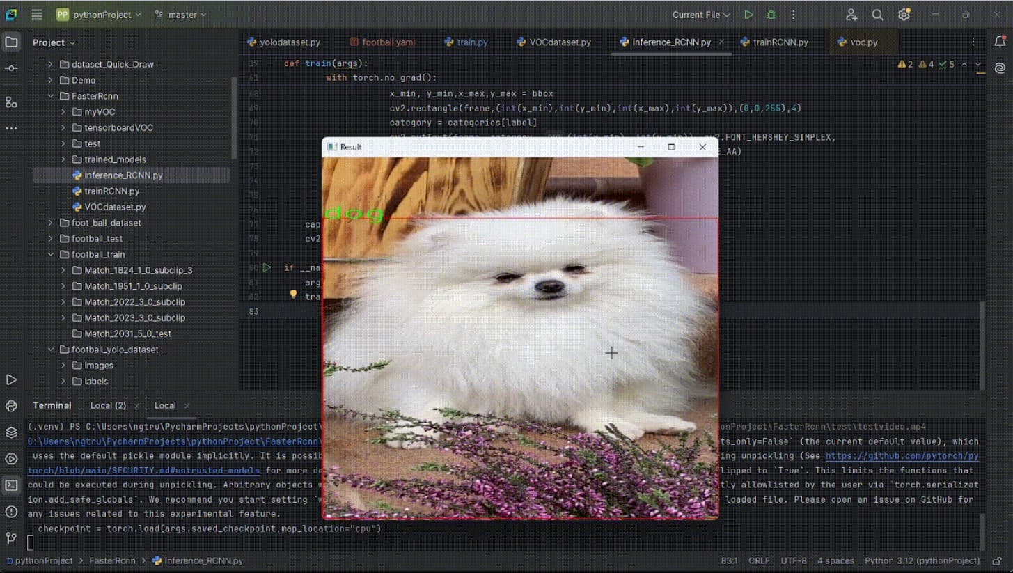 Faster R-CNN Detection